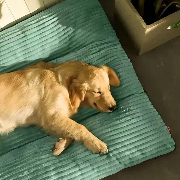 XXL Anti-stress Hundeseng