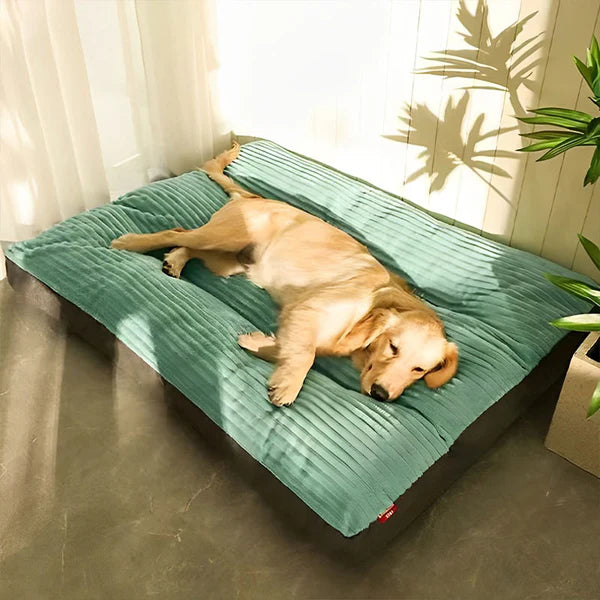 XXL Anti-stress Hundeseng